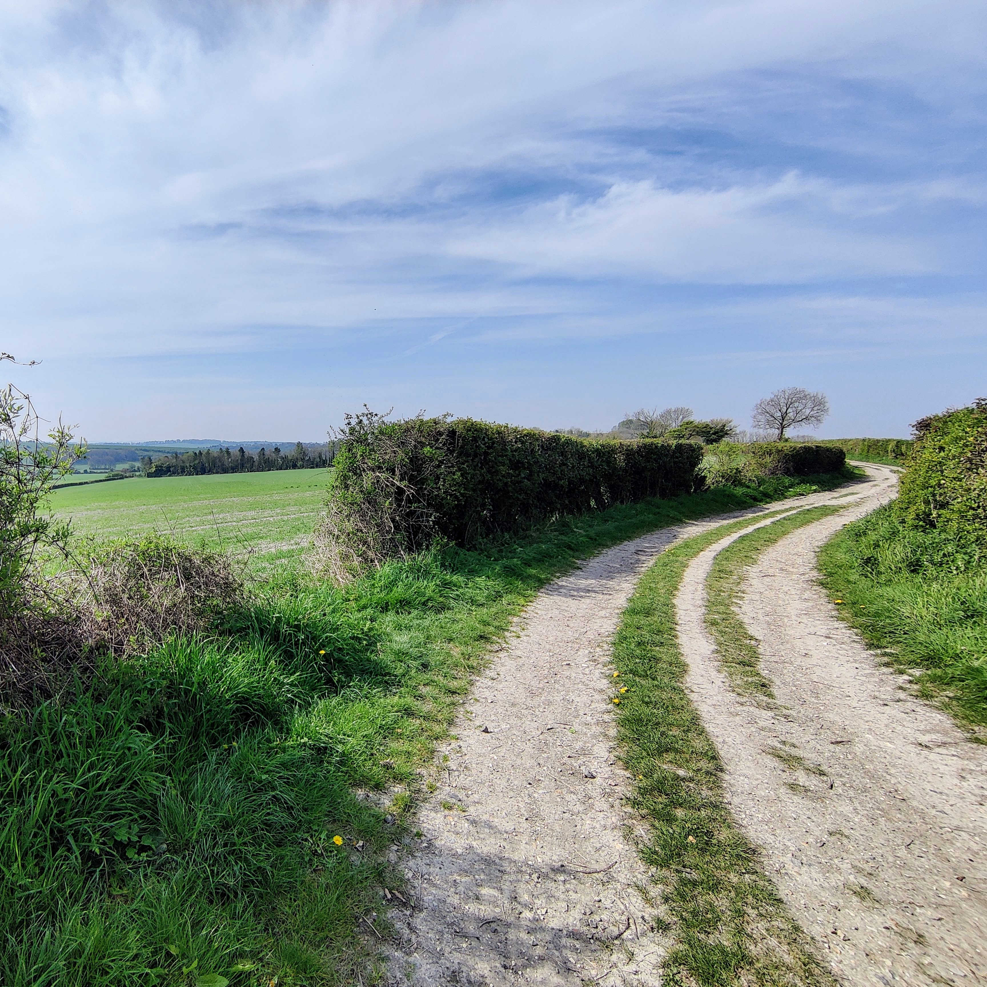 A photo of a country track with a path visible in the hedges